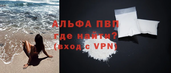 индика Няндома