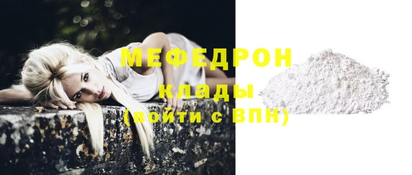 индика Няндома