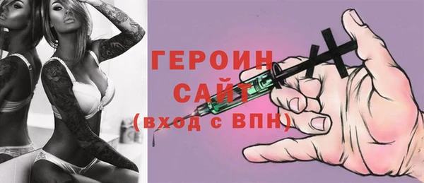 индика Няндома