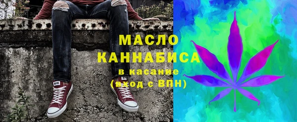 индика Няндома