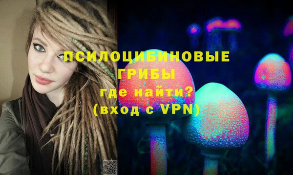 MDMA Premium VHQ Нязепетровск
