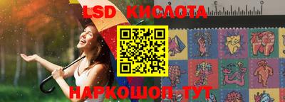 PSILOCYBIN Камышлов