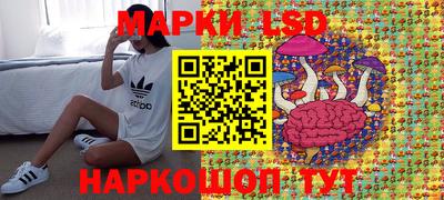 PSILOCYBIN Камышлов