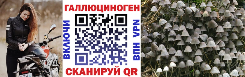 Псилоцибиновые грибы мухоморы  Красноярск 